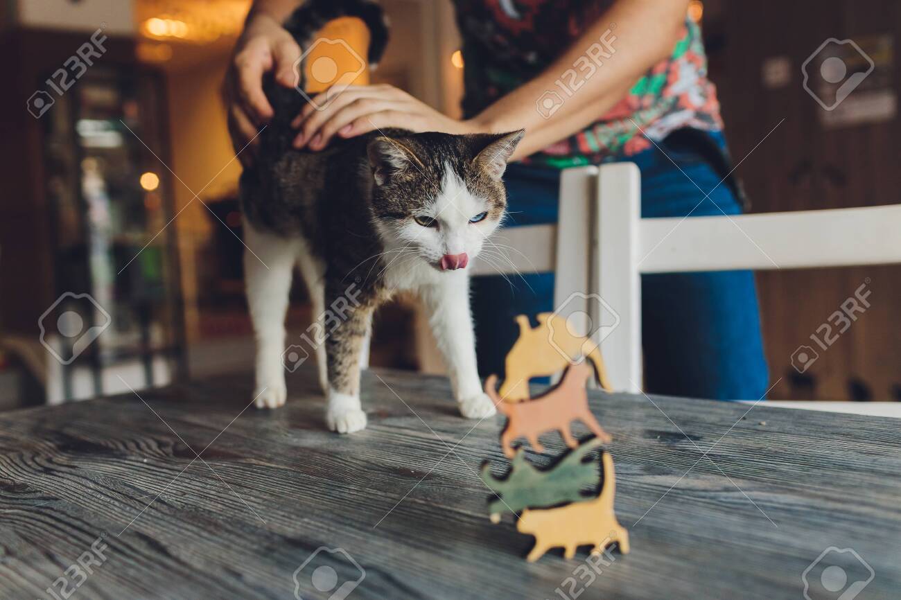 etiam-dictum-ipsum-a-felis