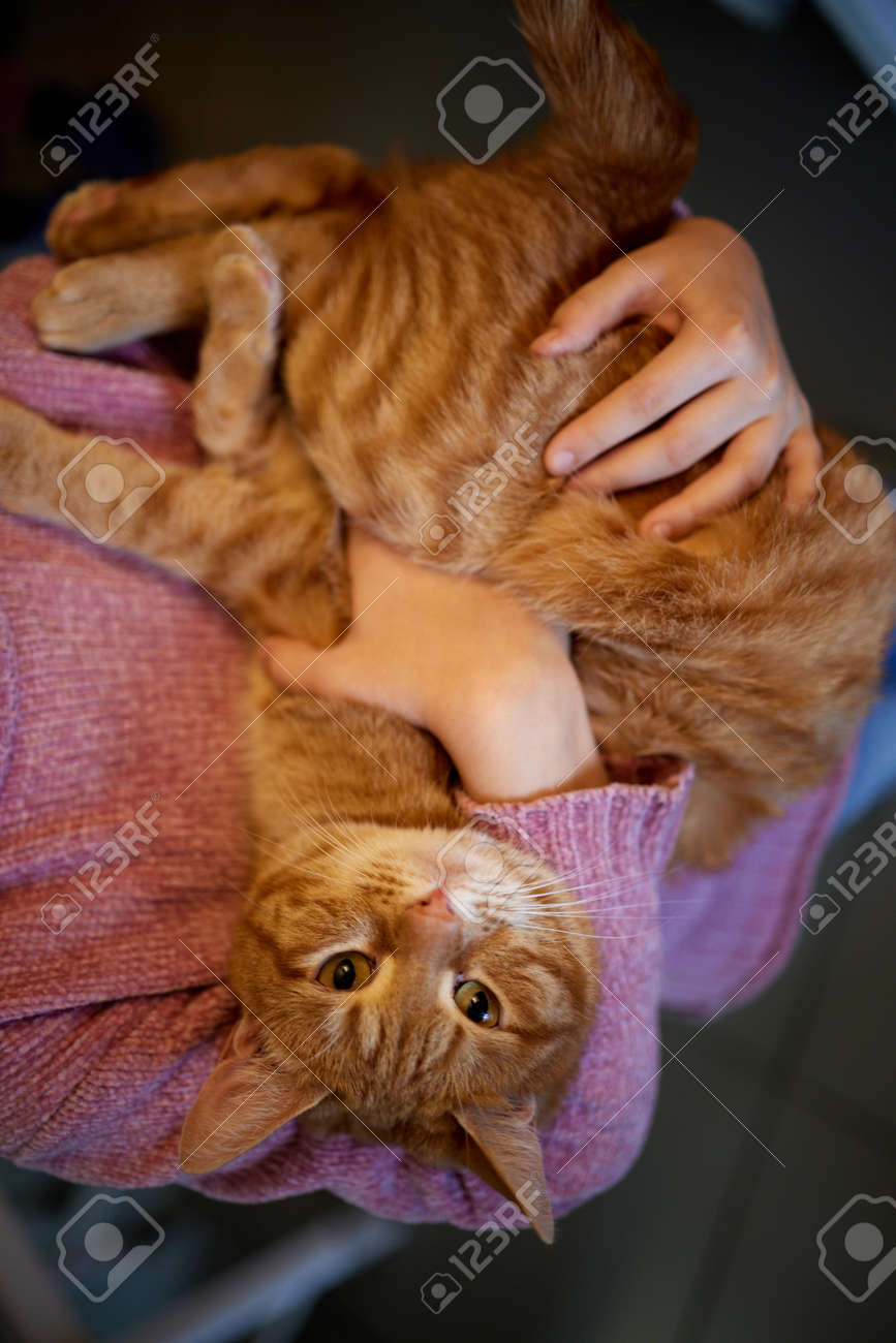 etiam-dictum-ipsum-a-felis