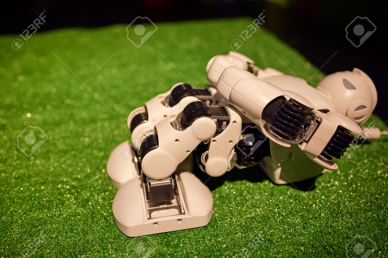 etiam-dictum-ipsum-a-felis