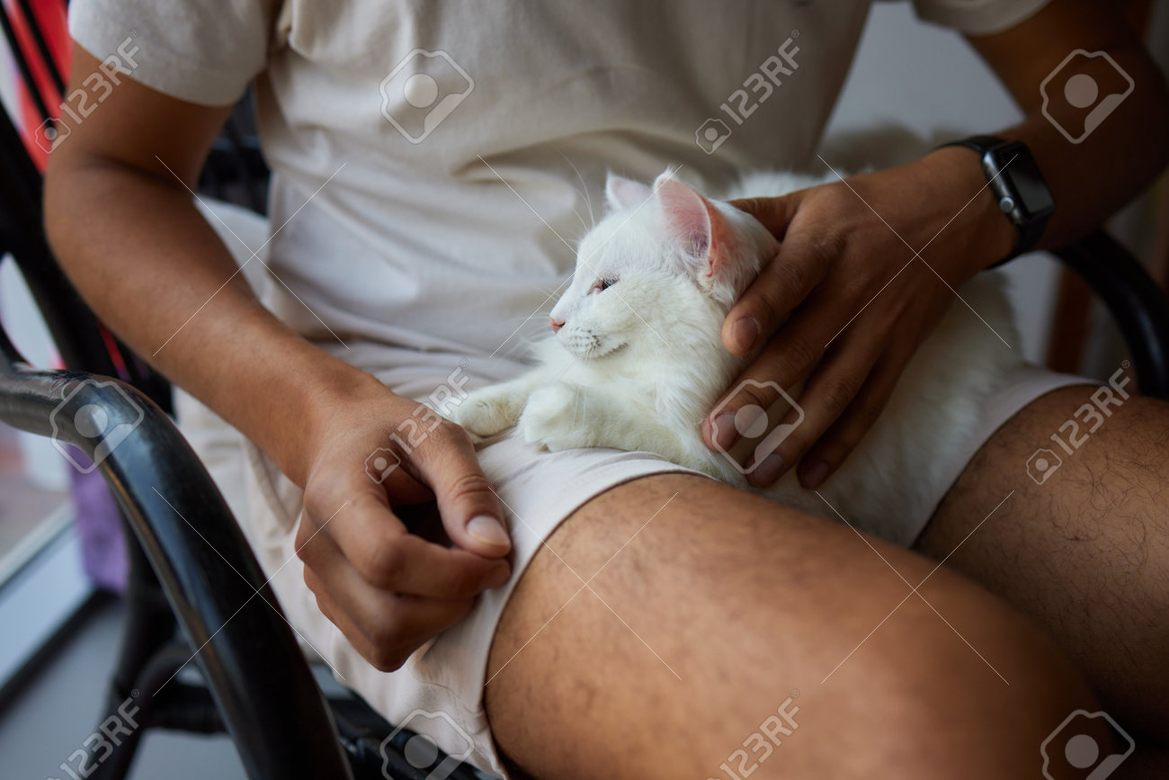 etiam-dictum-ipsum-a-felis