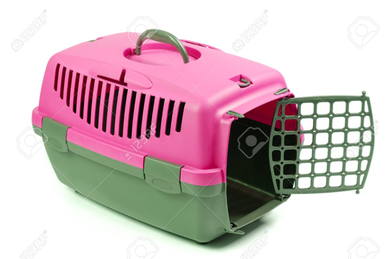 petstock dog crates
