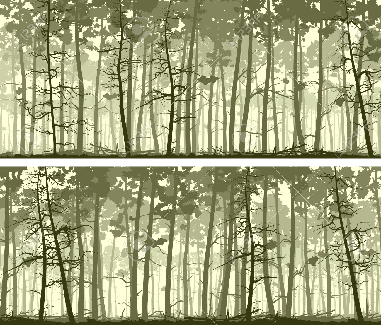 set of horizontal abstract wide banners forest with trunks of
