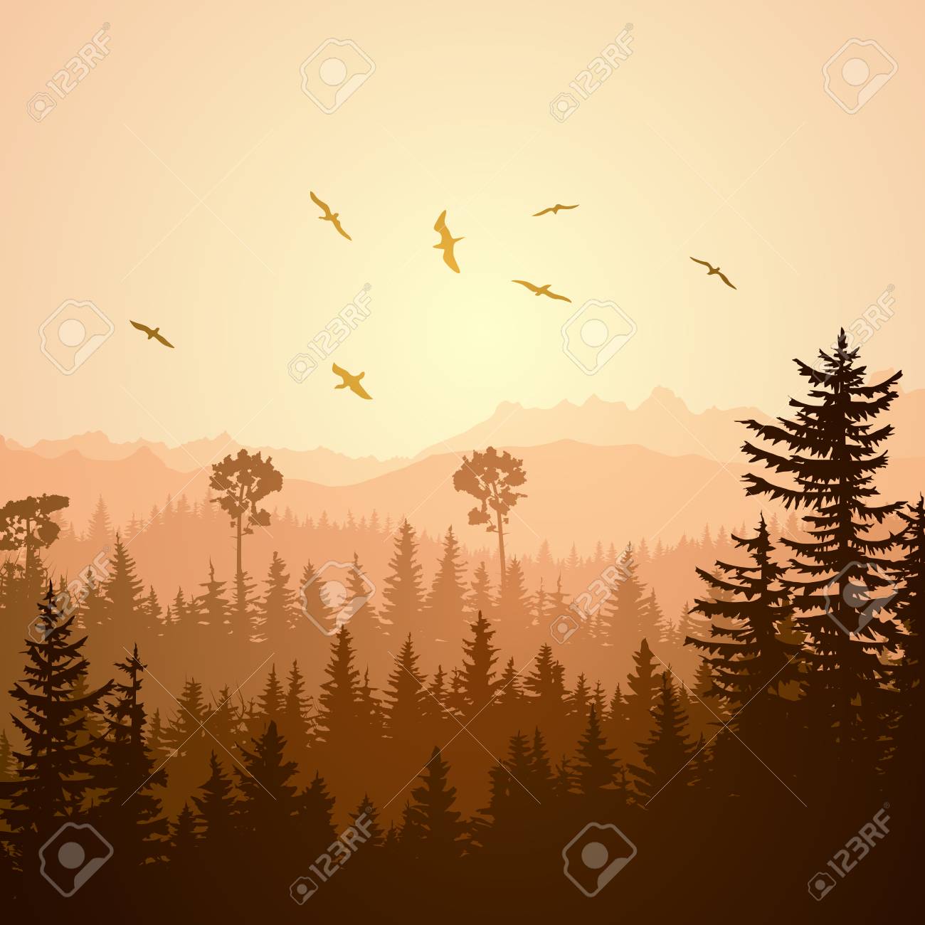 夕暮れイラスト霧針葉樹林丘鳥の群れを正方形します のイラスト素材 ベクタ Image