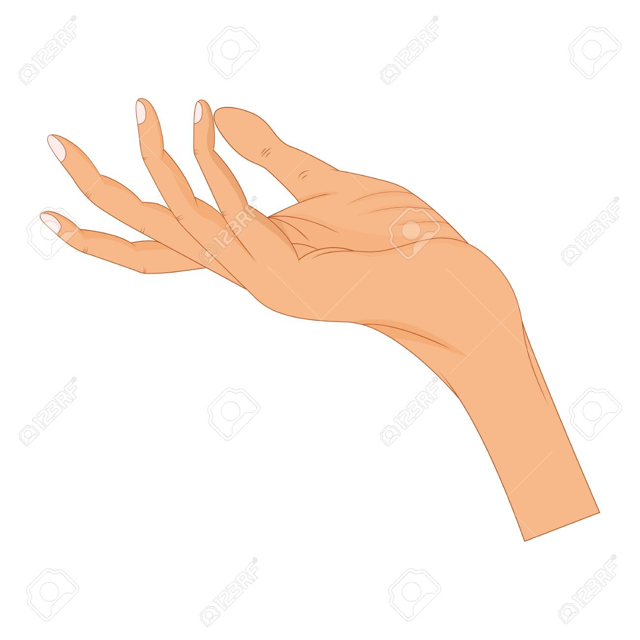 Hand In Pose Male Or Female Hand In Cartoon Style Royalty Free Cliparts Vectors And Stock Illustration Image