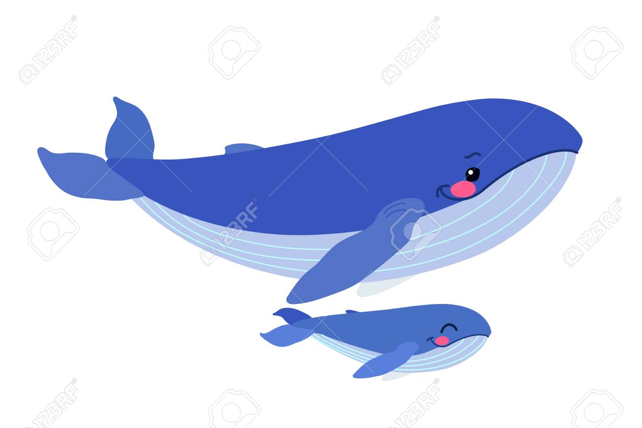 Vector Flat Cartoon Animal Clip Art Blue Whales Family Royalty Free SVG,  Cliparts, Vectors, and Stock Illustration. Image 123185598., image size:1300x866
