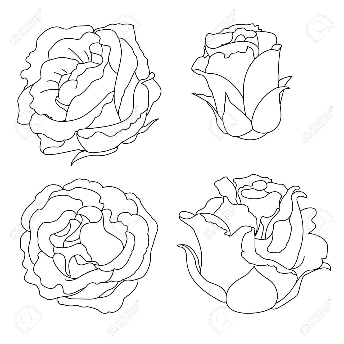 Download Vector Rose Flower Clip Art Coloring Book Page Royalty Free Cliparts Vectors And Stock Illustration Image 144888811
