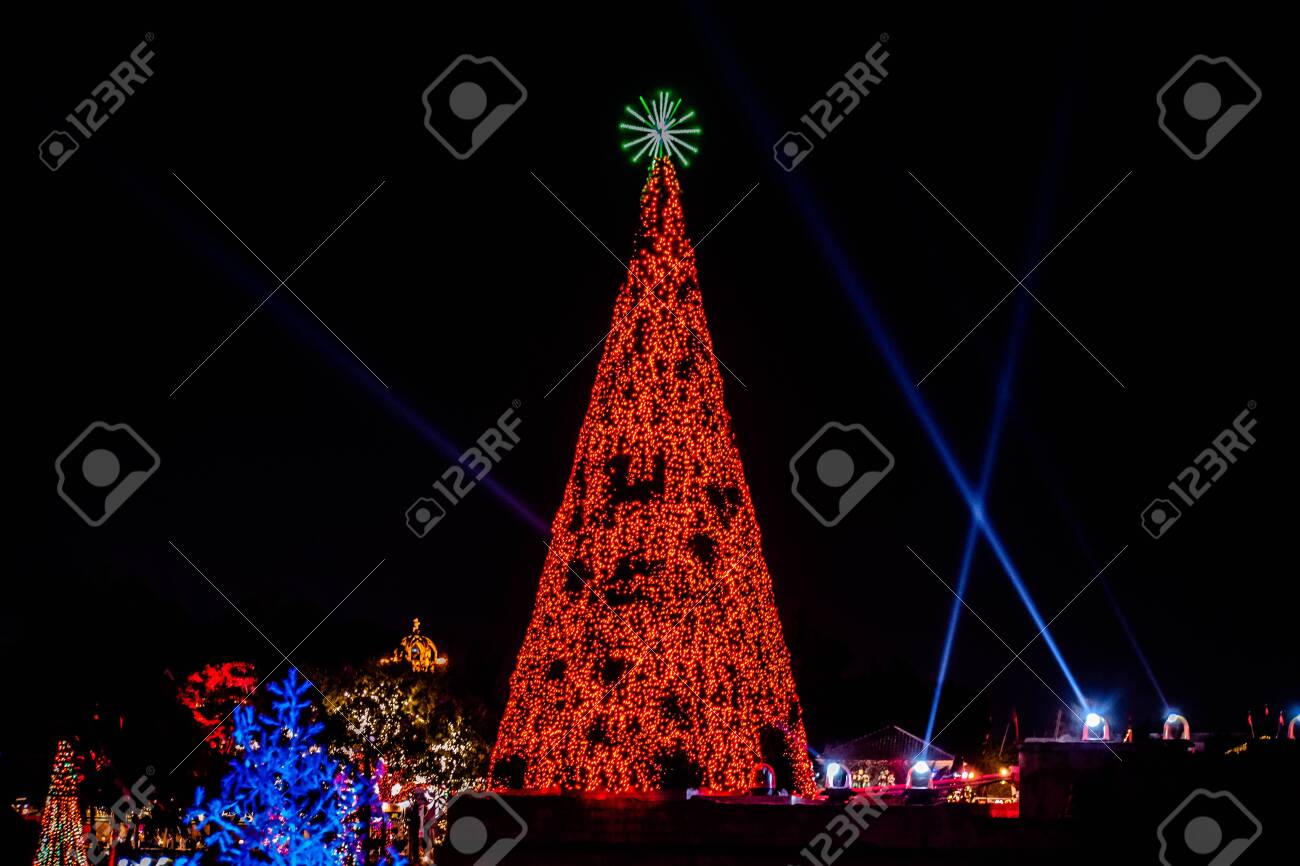Orlando Florida November 24 2019 Top View Of Colorful And Illuminated Christmas Tree At Seaworld 16 Lizenzfreie Fotos Bilder Und Stock Fotografie Image 136925440
