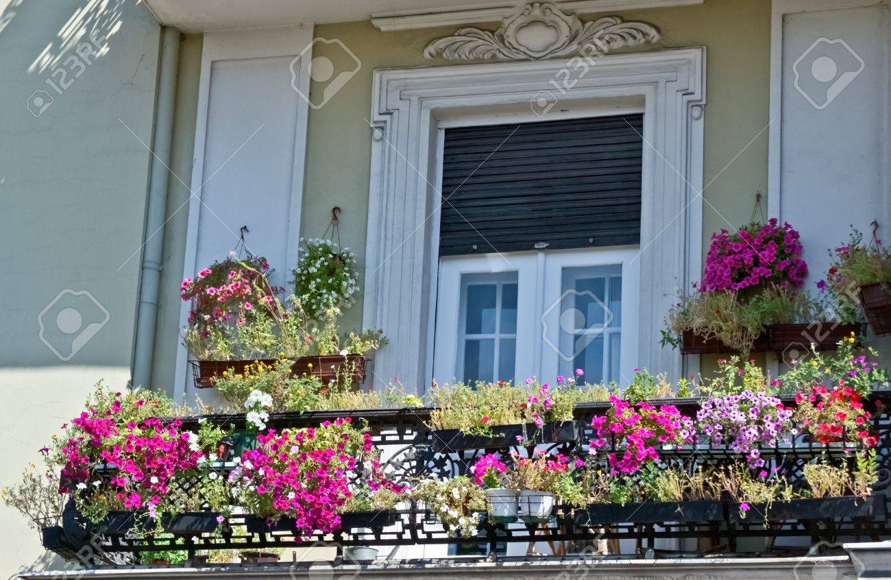 old balcony with flowers stock photo picture and royalty free image