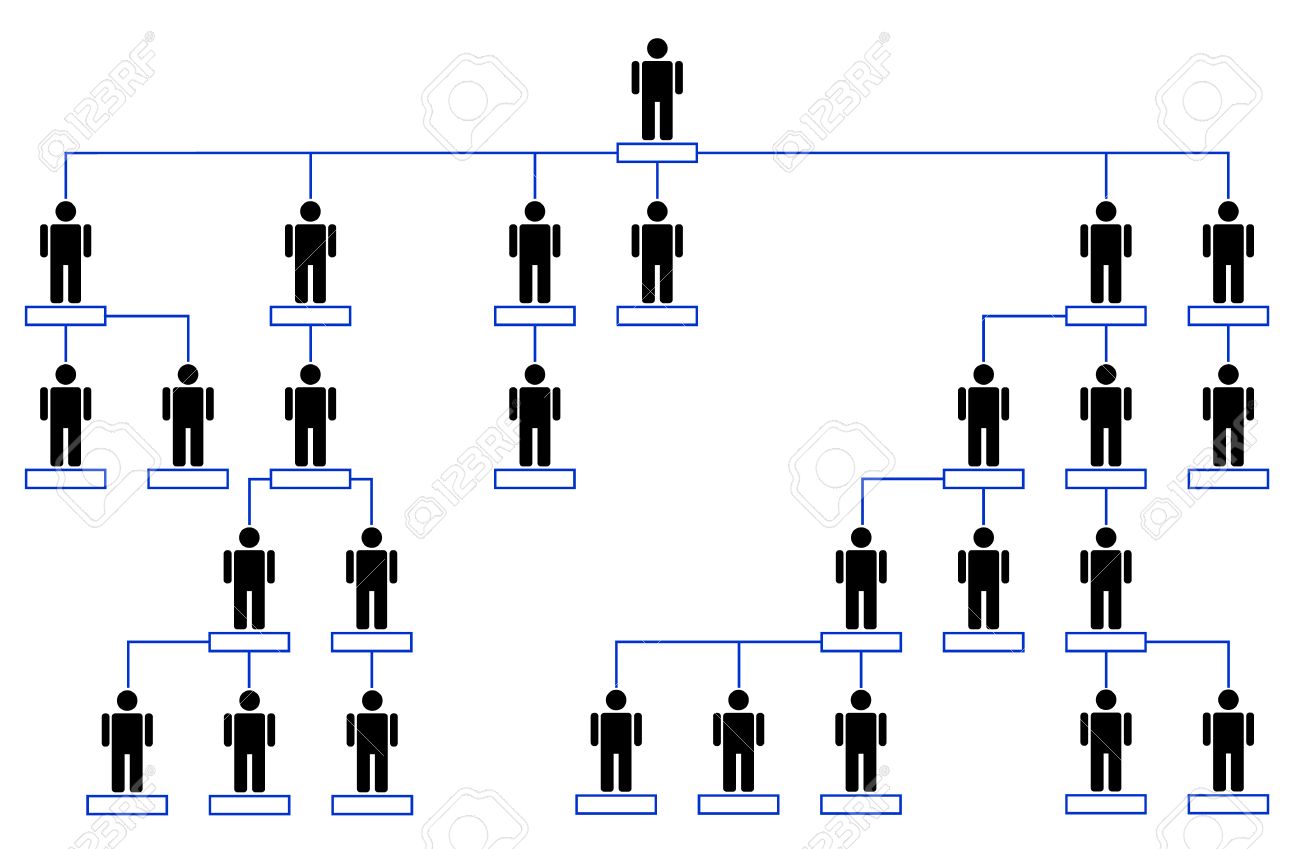 business organizational