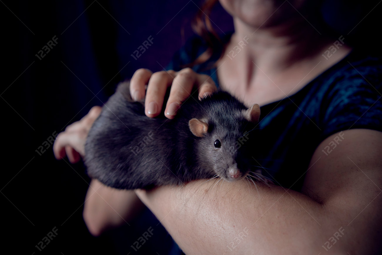 etiam-dictum-ipsum-a-felis