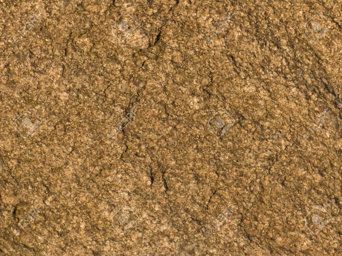 Fragment Of Dark Brown Stone Background Texture Stock Photo Picture And Royalty Free Image Image