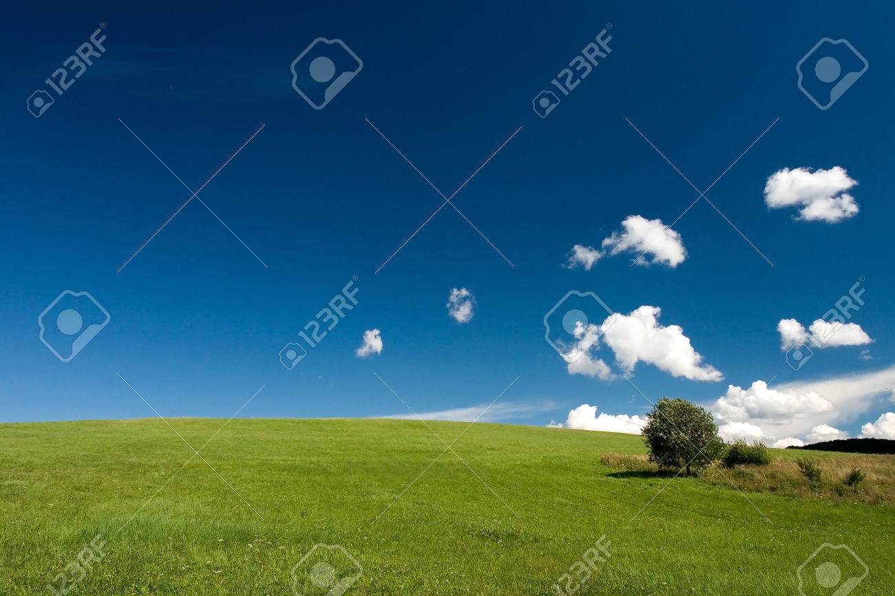 Summer abstract landscape with small white clouds and tree - 1414753 Summer abstract landscape with small white clouds and tree - 1414753