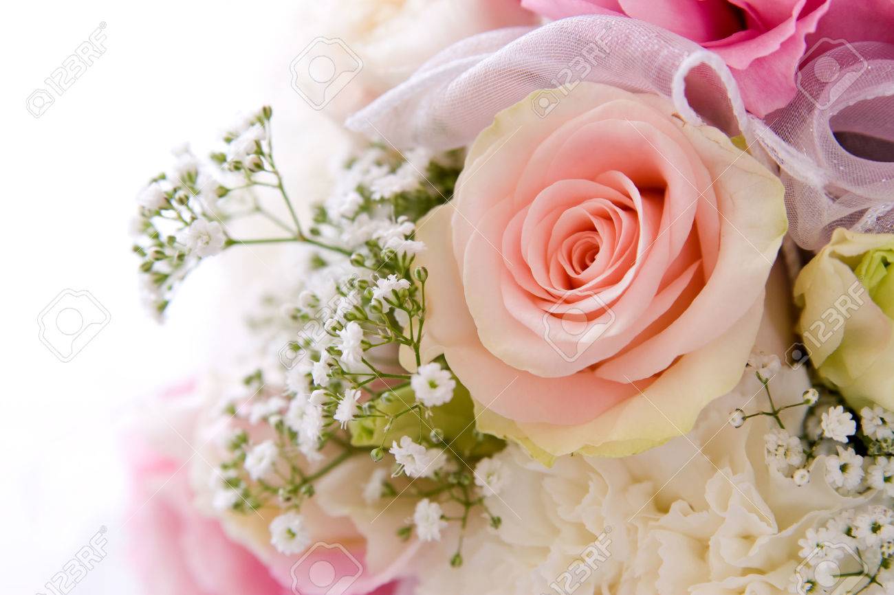 wedding background decoration with beautiful pink rose - 1414748 wedding background decoration with beautiful pink rose - 1414748