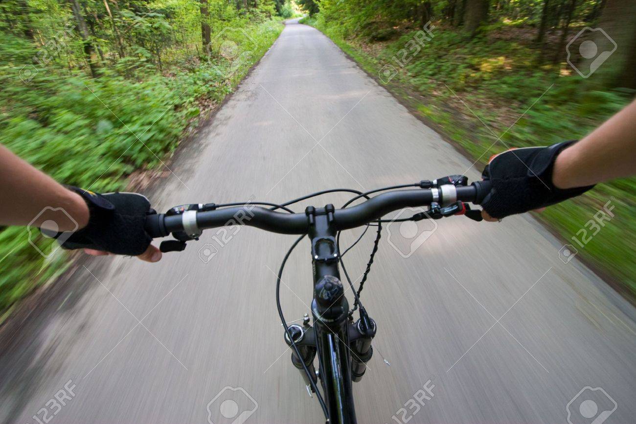 Point of view from biker eyes during riding in the forest - 3084905 Point of view from biker eyes during riding in the forest - 3084905