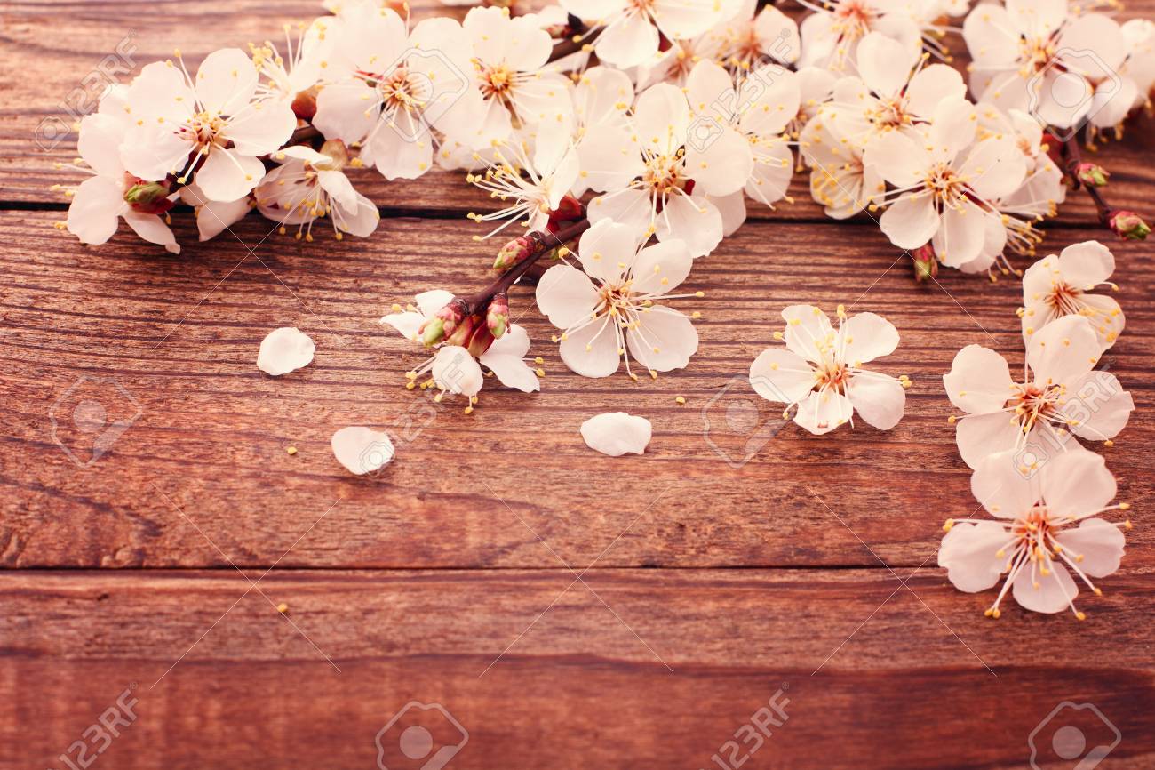 木の表面に白い花のブーケ 夏の結婚式の日 繊細なバラの珍しいデザイナー花屋花束 本文の空きスペース の写真素材 画像素材 Image 木の表面に白い花のブーケ 夏の結婚式の日 繊細なバラの珍しいデザイナー花屋花束 本文の空きスペース の写真素材 画像素材 Image