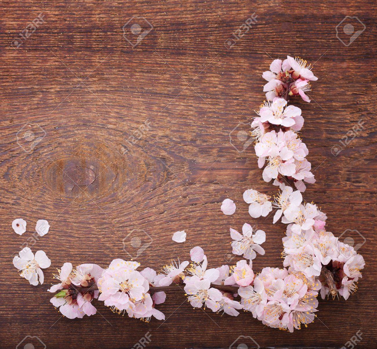 結婚式の背景 桜の開花枝 適度なシンプルさわびさびの和風 選択と集中 ピンクの調子を整えます の写真素材 画像素材 Image 結婚式の背景 桜の開花枝 適度なシンプルさわびさびの和風 選択と集中 ピンクの調子を整えます の写真素材 画像素材 Image