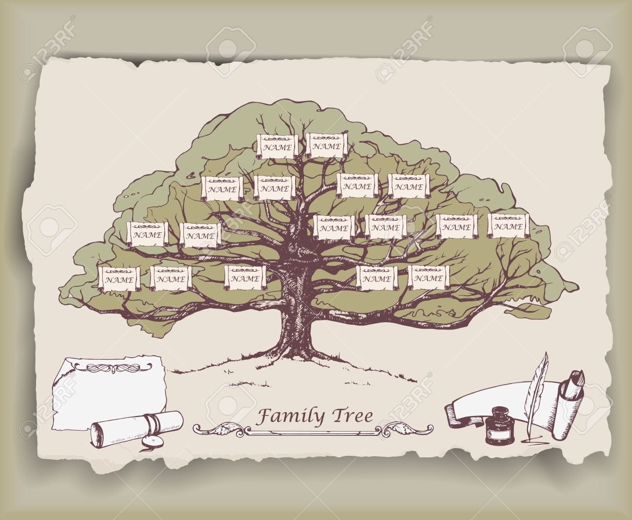 drawn family tree