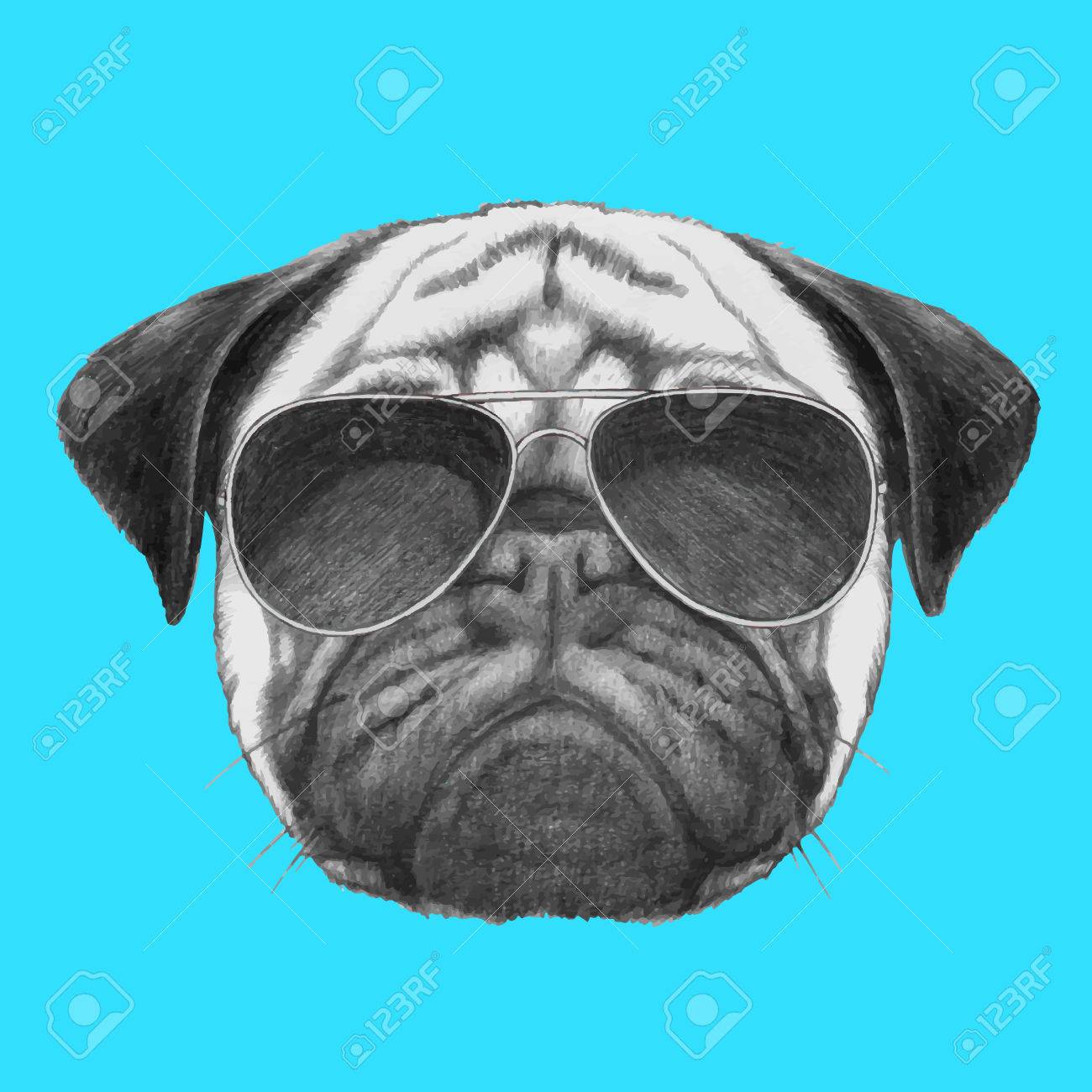 pug with sunglasses
