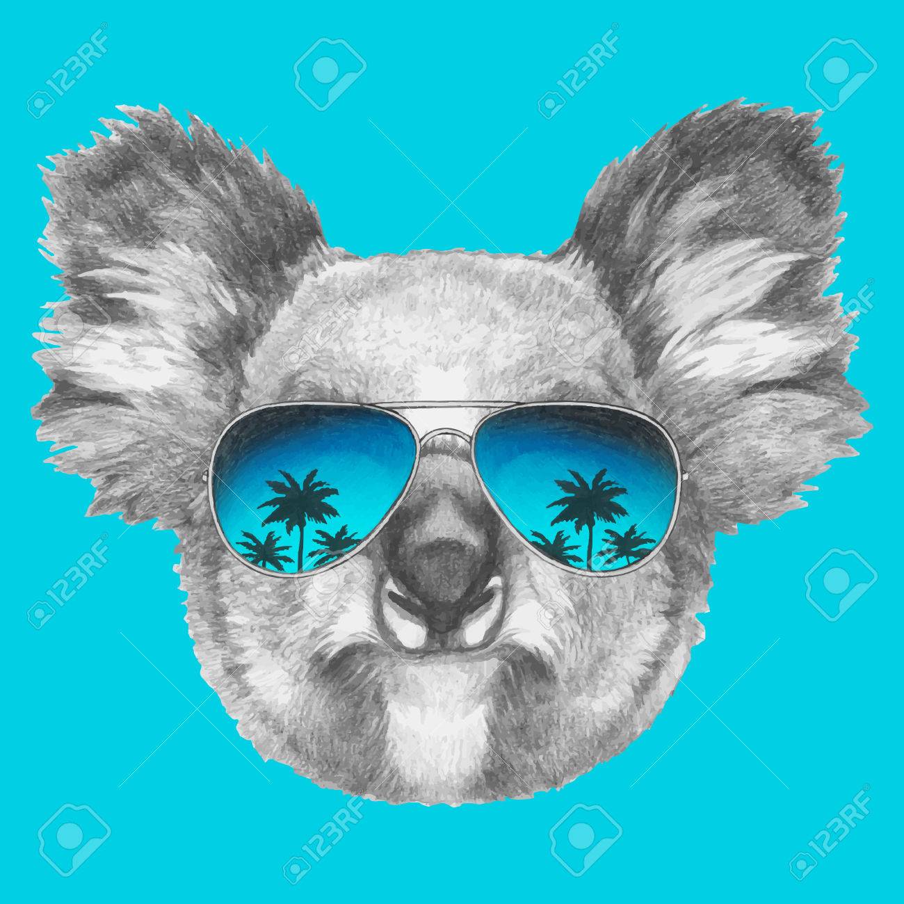 koala in sunglasses