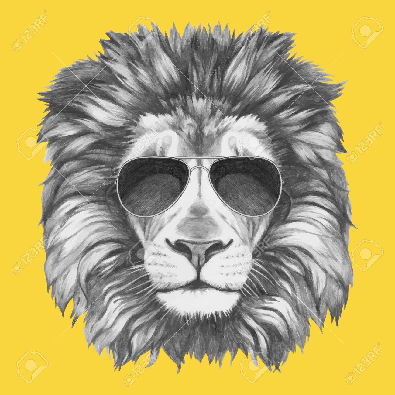 lion sunglasses