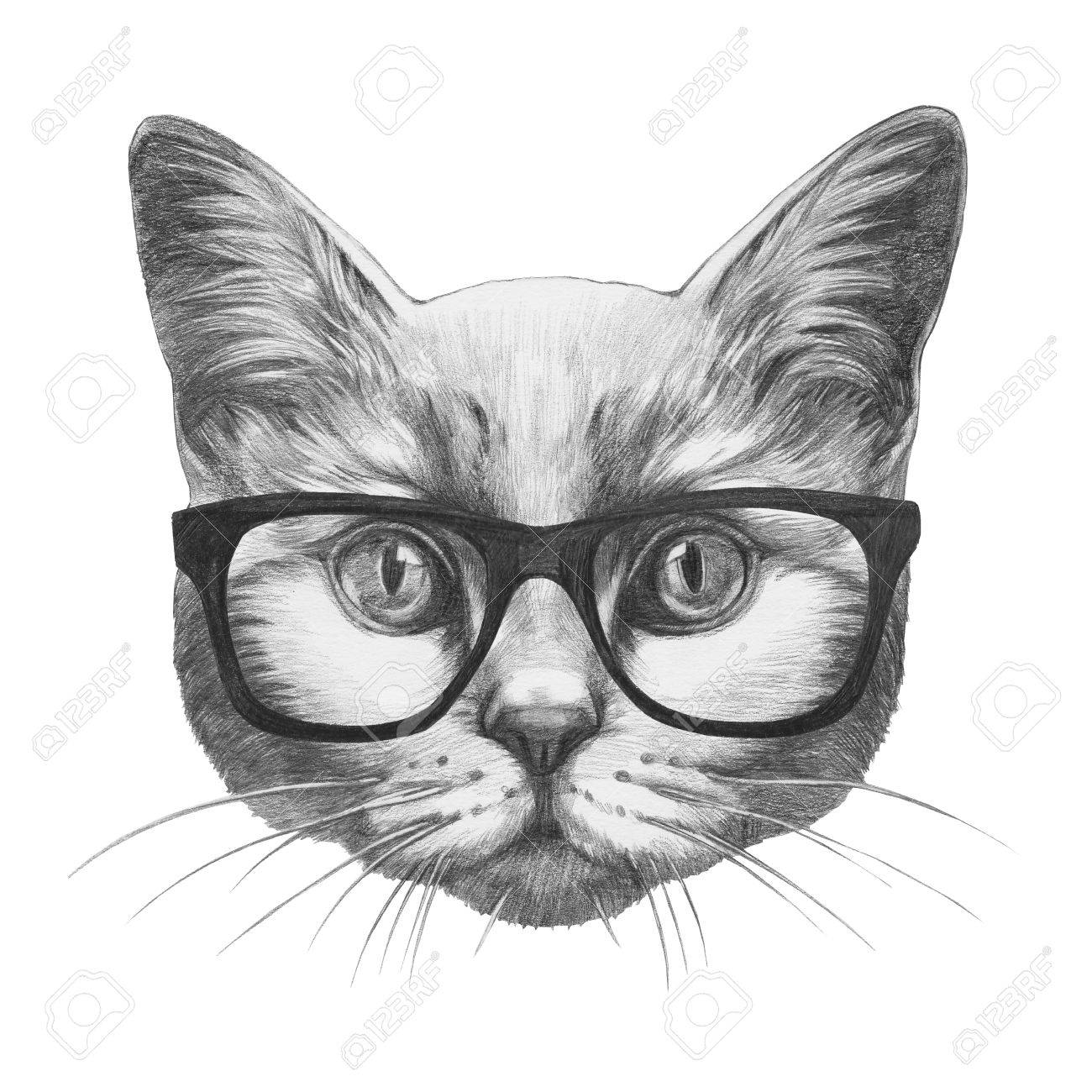 Dessin Original De Chat Avec Des Lunettes Isole Sur Fond Blanc Banque D Images Et Photos Libres De Droits Image