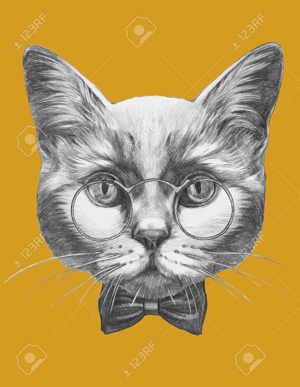 Portrait Dessine De Chat Avec Des Lunettes Et Un Noeud Papillon A La Main Banque D Images Et Photos Libres De Droits Image