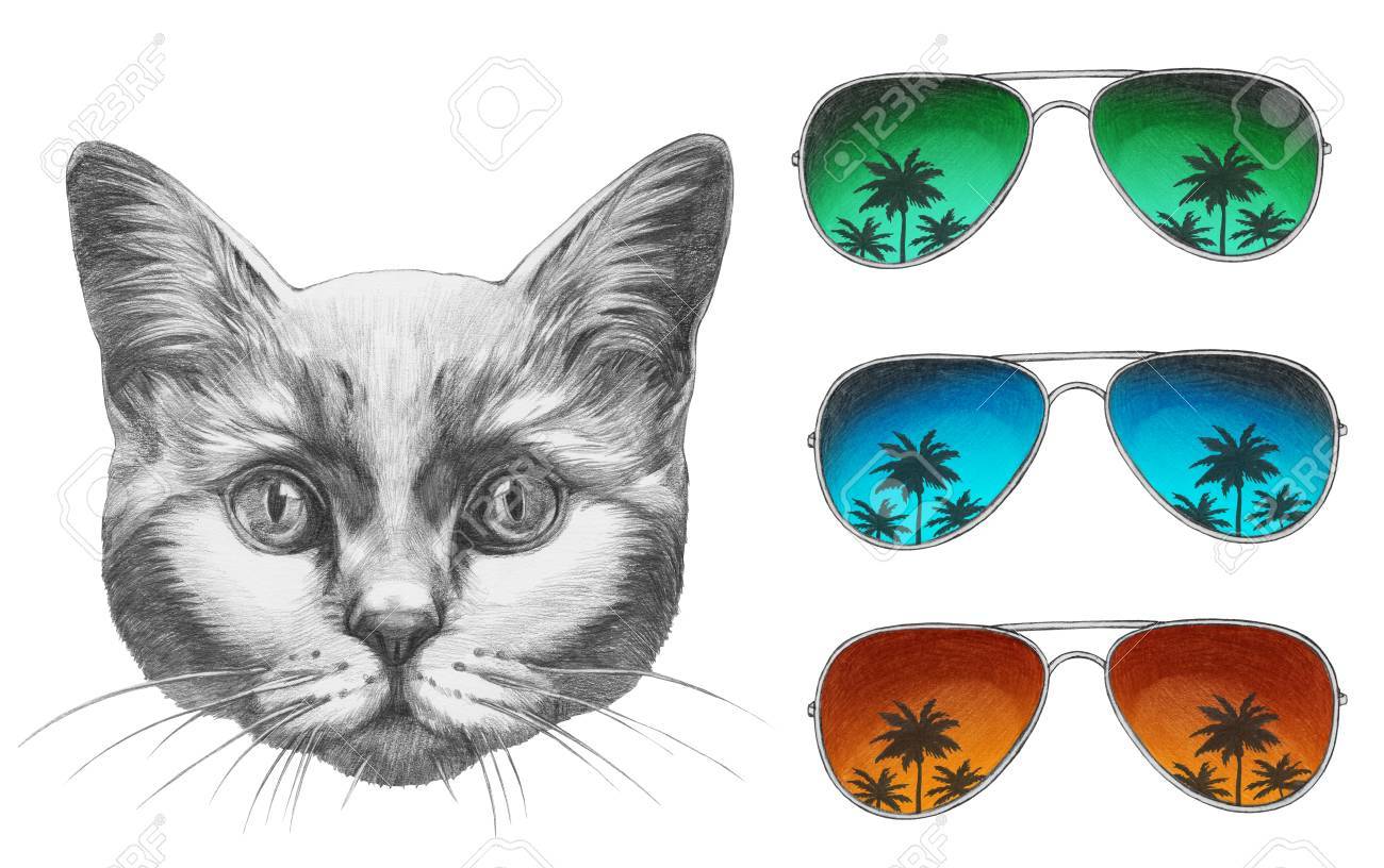 Reklama Klamstwo Nagle Zejscie Chat Lunette De Soleil Dessin Crisisresiliencesurvival Com