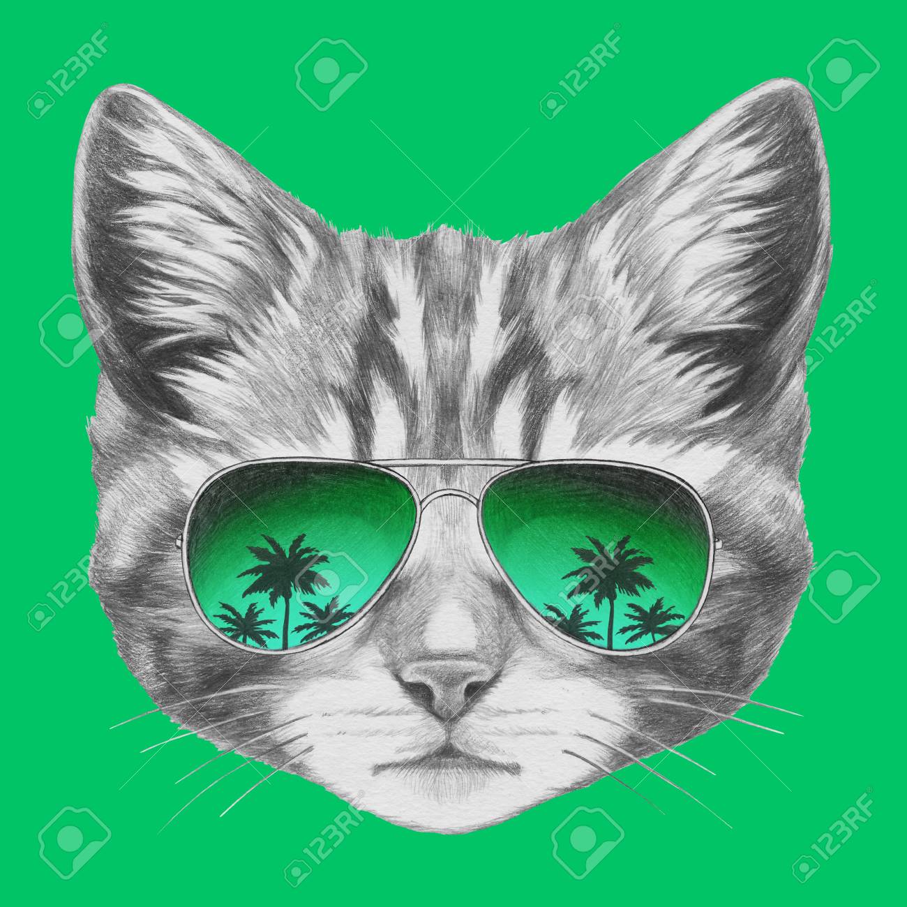 Dessin Original De Chat Avec Des Lunettes De Soleil En Miroir Isole Sur Fond Colore Banque D Images Et Photos Libres De Droits Image