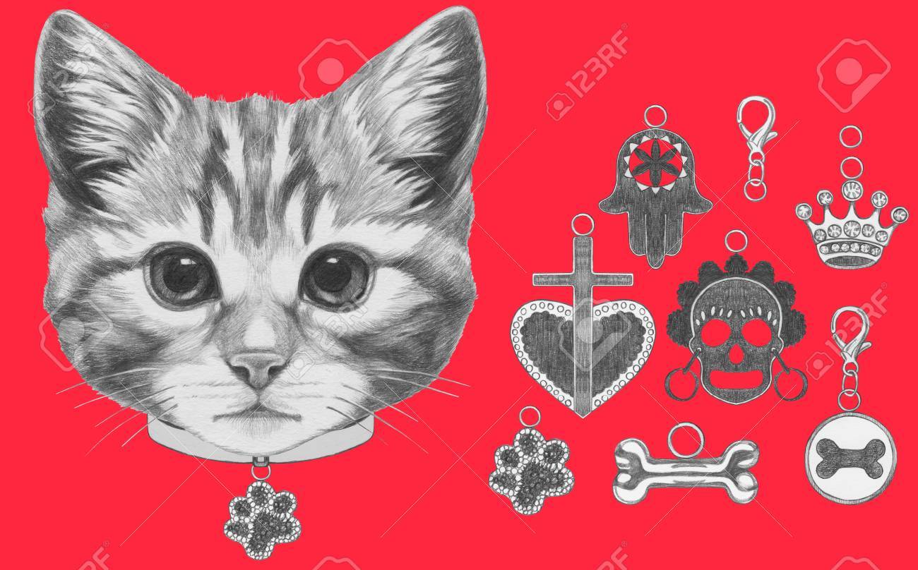 Dessin Original De Chat Avec Collier Isole Sur Fond Blanc Banque D Images Et Photos Libres De Droits Image
