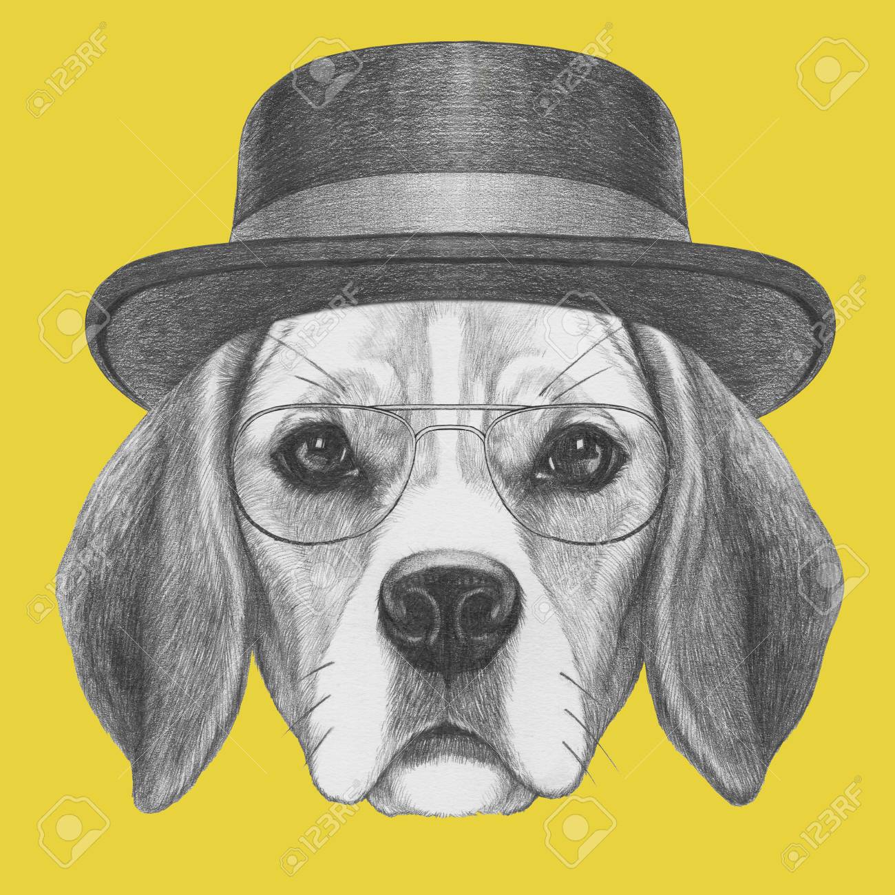 帽子と眼鏡とビーグル犬の肖像画 手描きのイラスト の写真素材 画像素材 Image 帽子と眼鏡とビーグル犬の肖像画 手描きのイラスト の写真素材 画像素材 Image