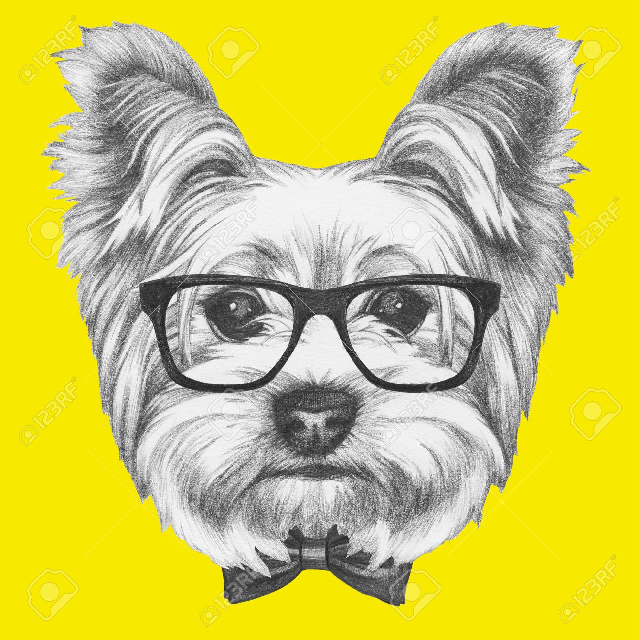 Portrait De Chien Yorkshire Terrier Avec Des Lunettes Et Un Noeud Papillon Illustration Dessinée à La Main