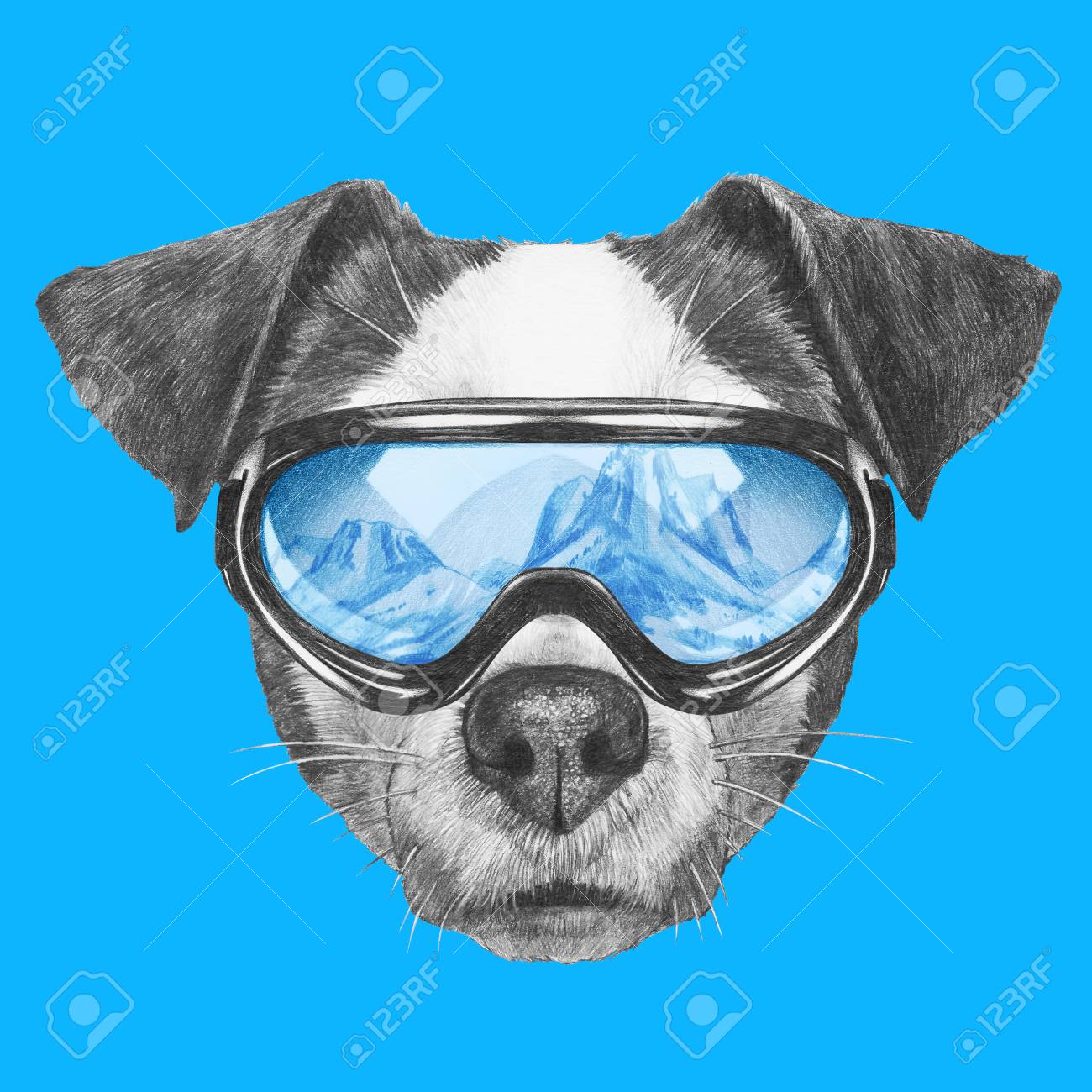 dog ski goggles