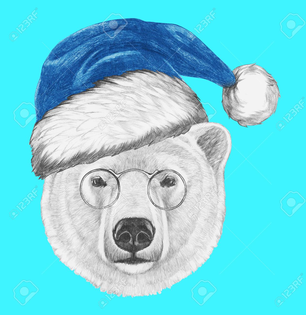 サンタ帽子とサングラスとシロクマの肖像画 手描きのイラスト の写真素材 画像素材 Image