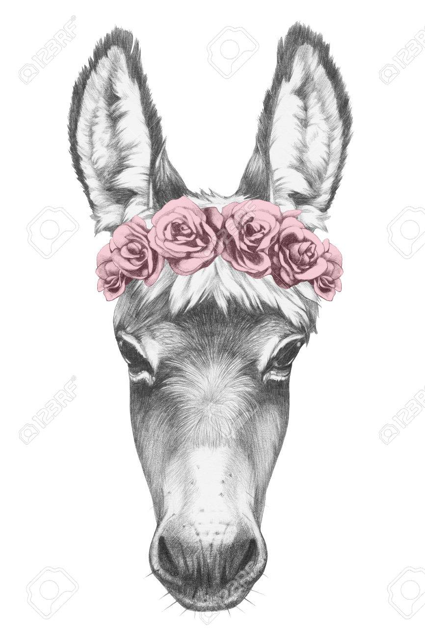 Portrat Von Esel Mit Blumenkopf Kranz Hand Gezeichnete Illustration Lizenzfreie Fotos Bilder Und Stock Fotografie Image