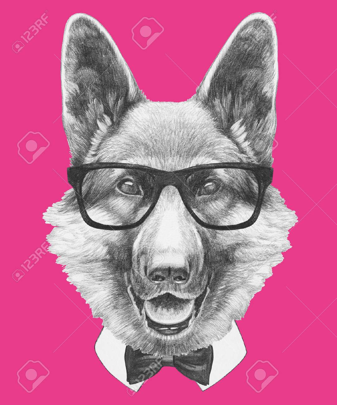 german shepherd bow tie