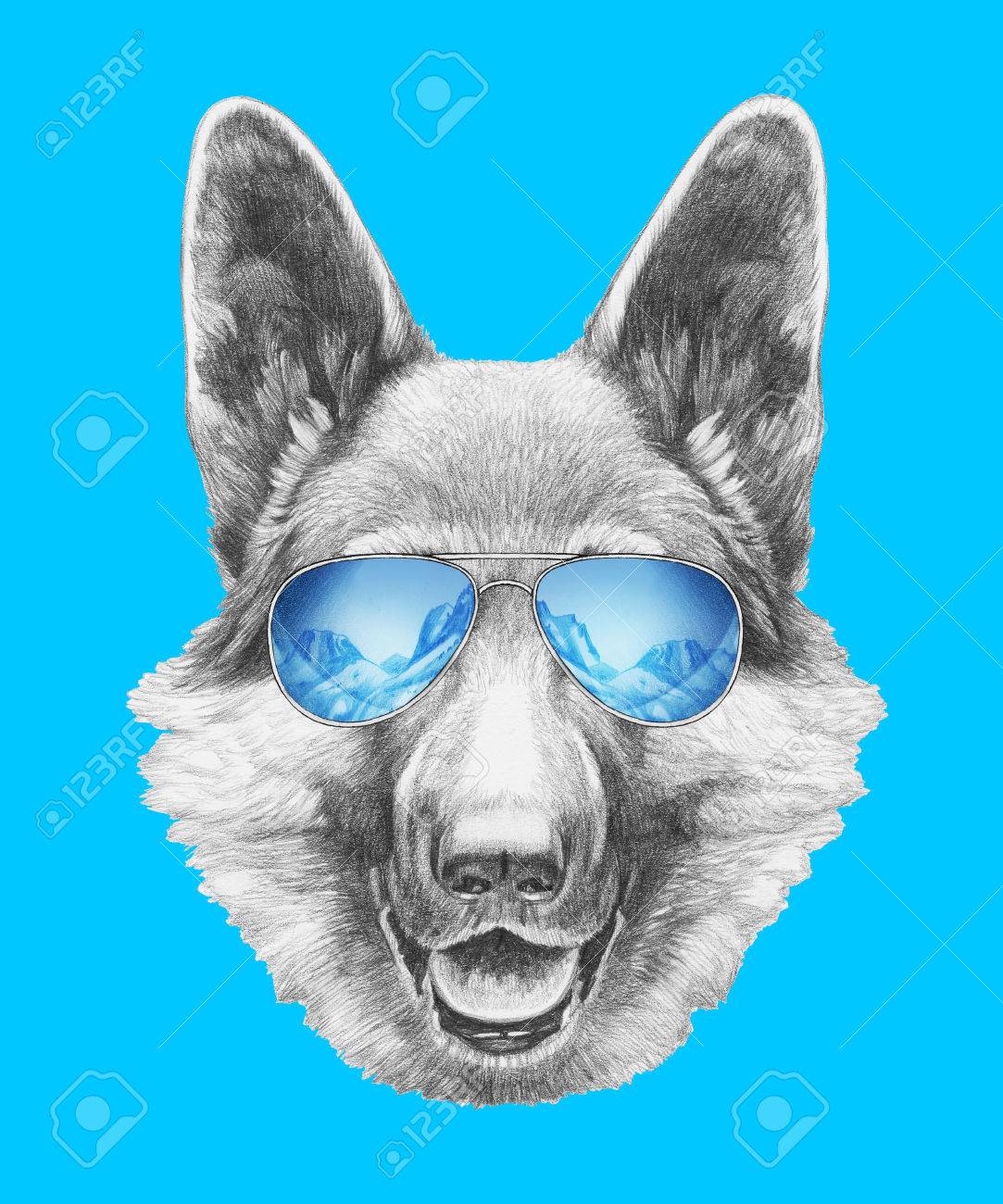 ミラー サングラスとジャーマン シェパードの肖像画 手描きのイラスト の写真素材 画像素材 Image ミラー サングラスとジャーマン シェパードの肖像画 手描きのイラスト の写真素材 画像素材 Image