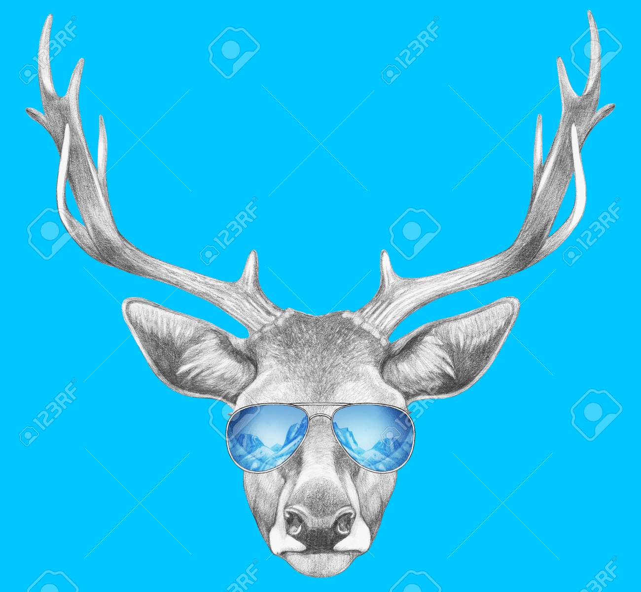 deer sunglasses