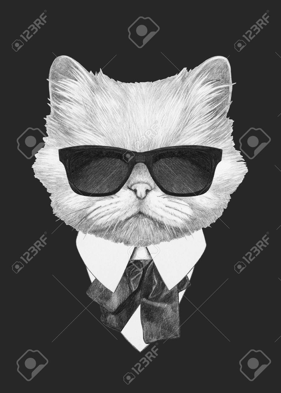 Portrait De Chat Perse En Costume Illustration Dessine A La Main Banque D Images Et Photos Libres De Droits Image Portrait De Chat Perse En Costume Illustration Dessine A La Main Banque D Images Et Photos Libres De Droits Image