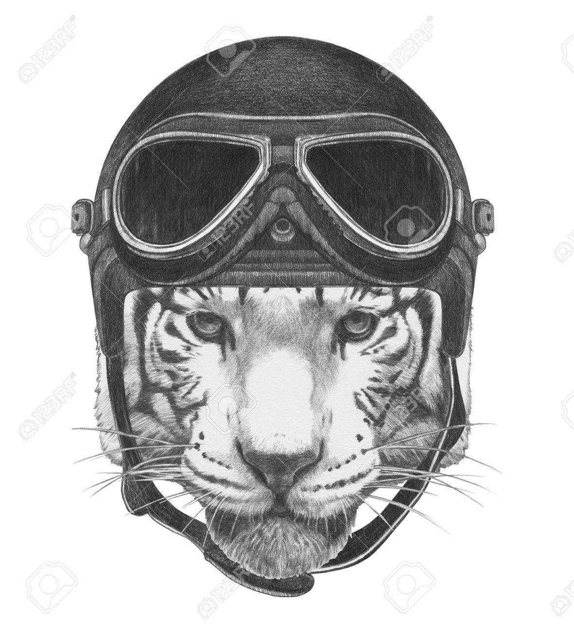 ビンテージ ヘルメットとタイガーの肖像画 手描きのイラスト の写真素材 画像素材 Image ビンテージ ヘルメットとタイガーの肖像画 手描きのイラスト の写真素材 画像素材 Image