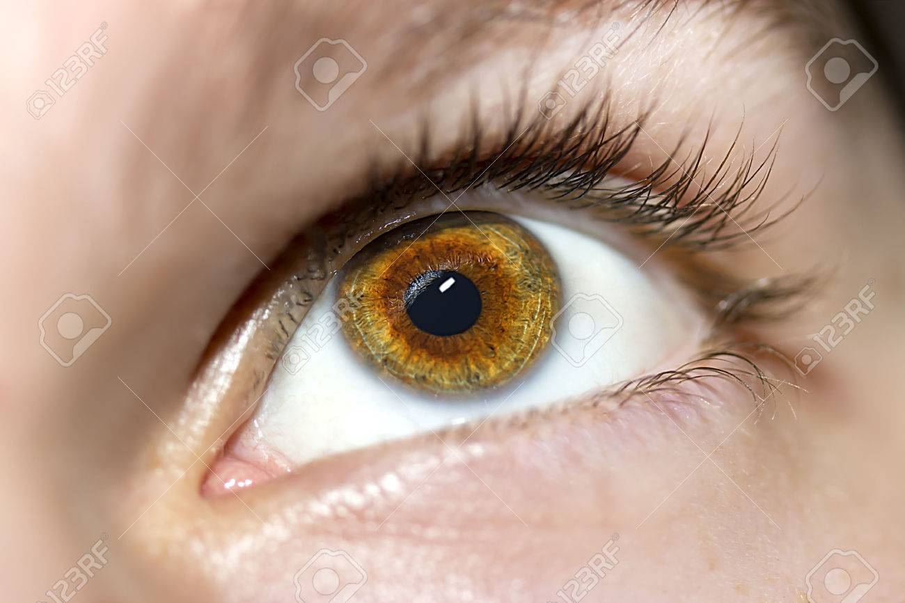 Image of man's brown eye close up. - 45503921 Image of man's brown eye close up. - 45503921