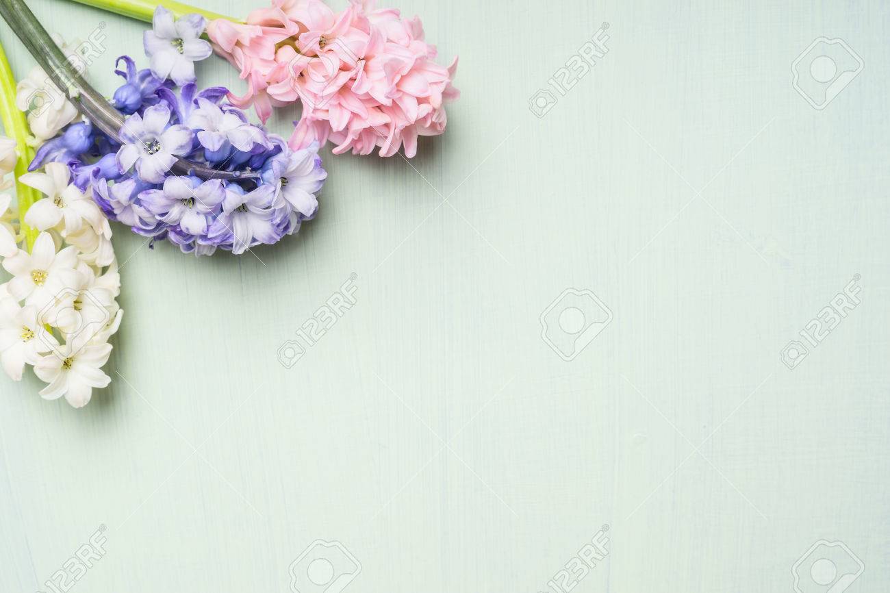 Pink White And Blue Hyacinths Flowers Bunch On On Light Shabby Stock Photo Picture And Royalty Free Image Image 52823934