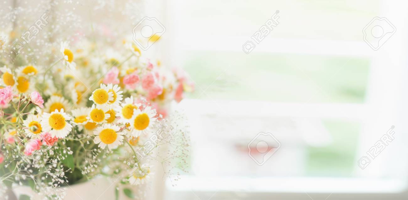 pretty daisies bunch at