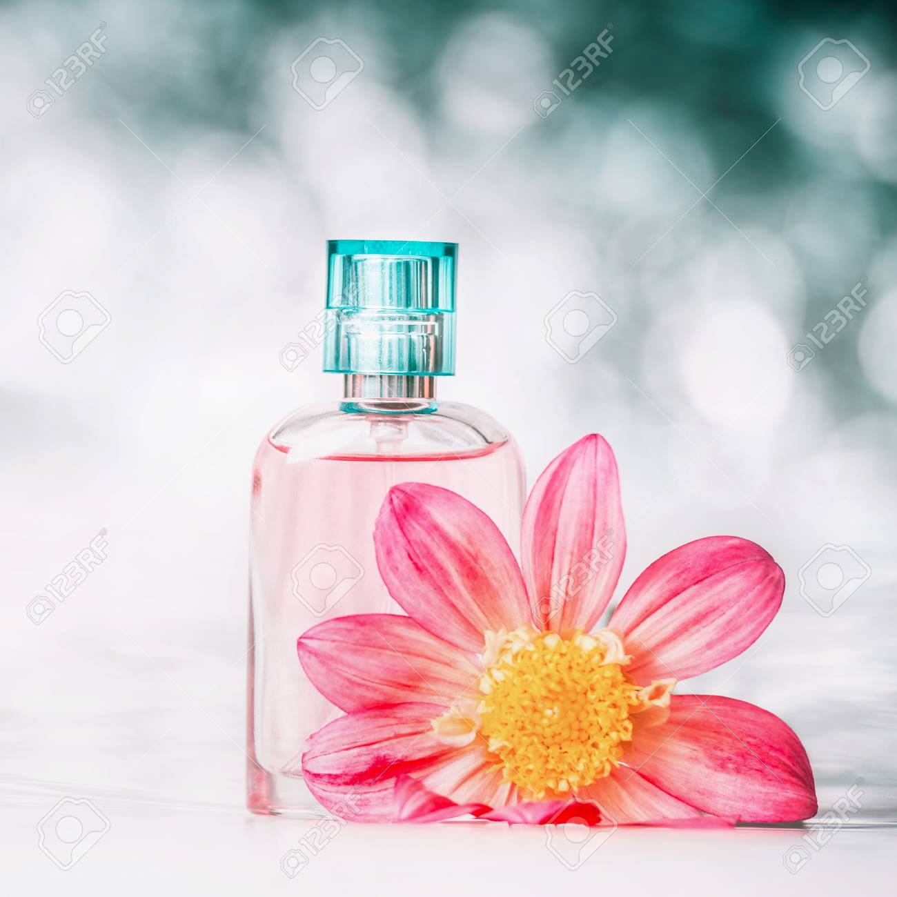 背景のボケ味 正面図でピンクの花の香水瓶をクローズ アップ の写真素材 画像素材 Image 背景のボケ味 正面図でピンクの花の香水瓶をクローズ アップ の写真素材 画像素材 Image