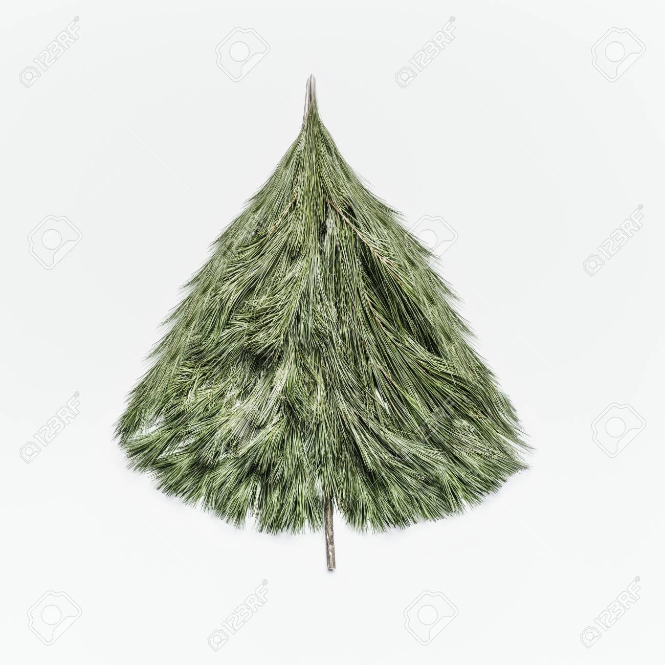 Christmas Tree Made With Cedar Branches On White Desk Background Top View Layout Of Christmas Tree Made With Cedar Branches On White Desk Background Top View Layout Of