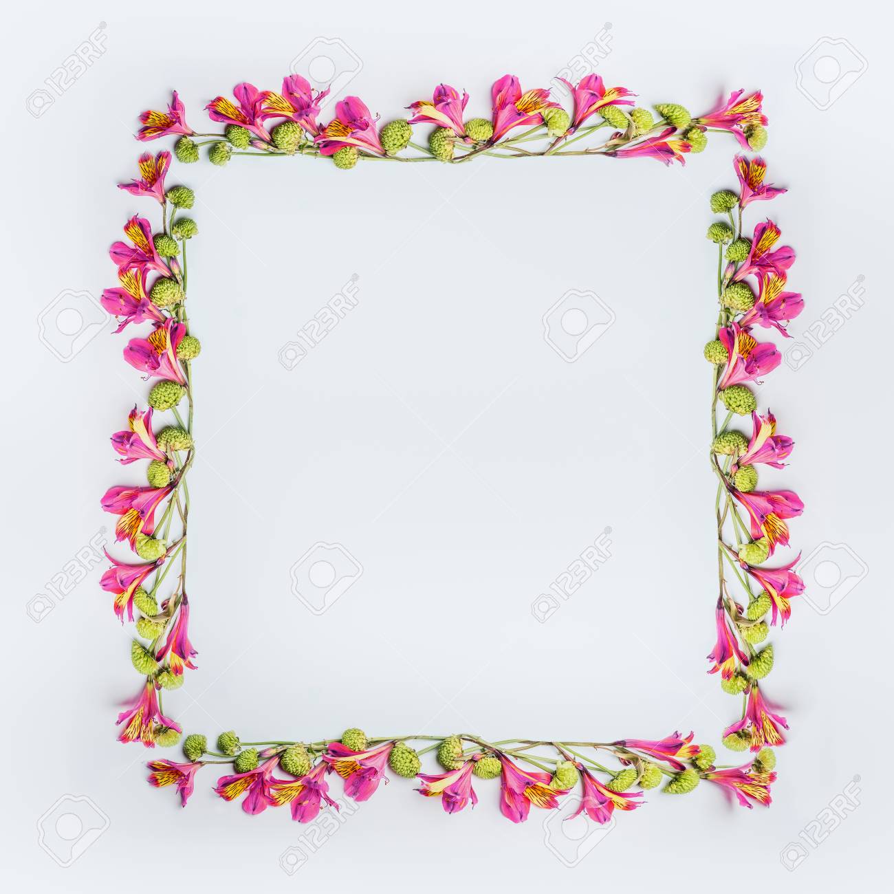 creative floral design frame layout with pink and green exotic pink and green design