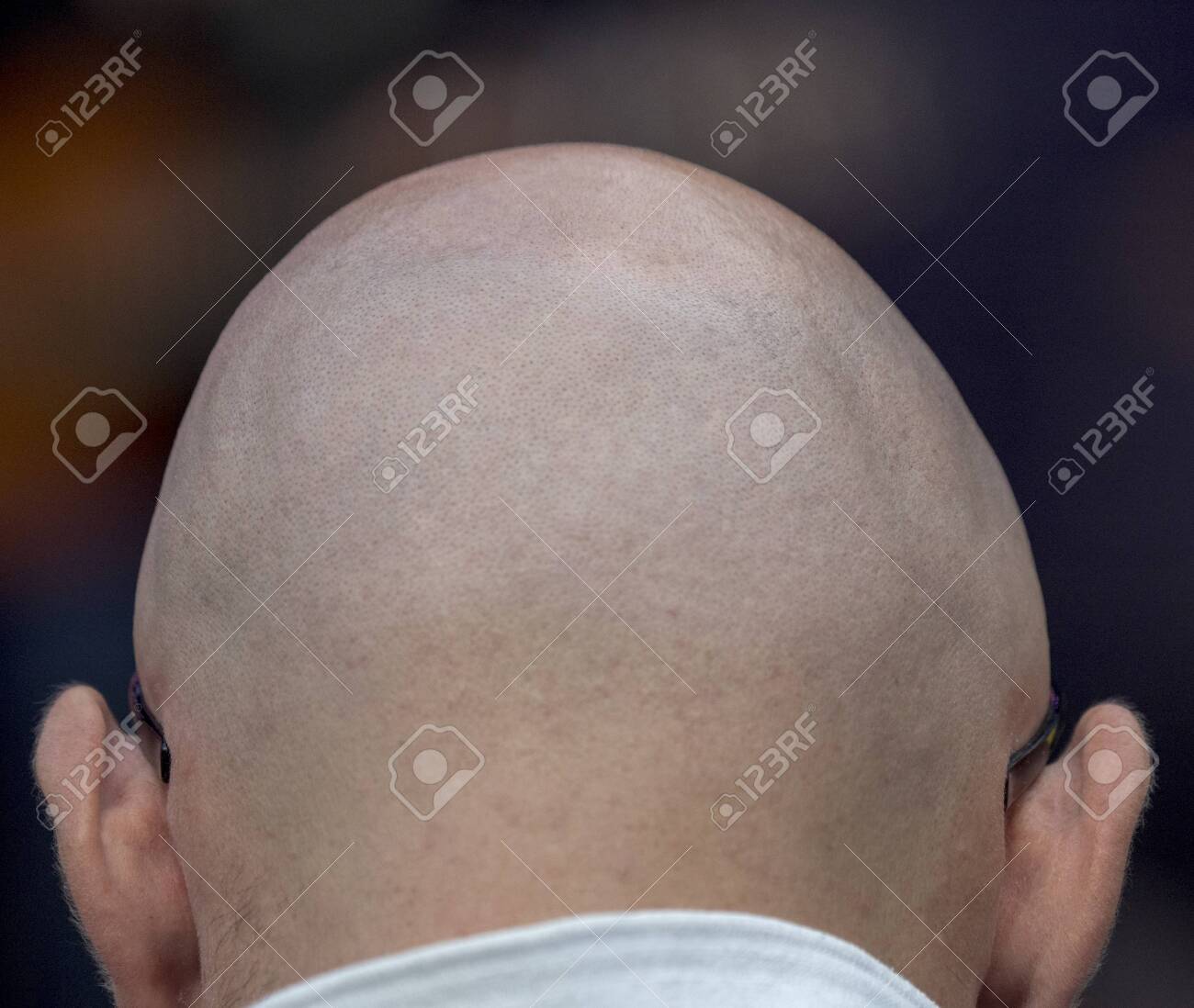 etiam-dictum-ipsum-a-felis