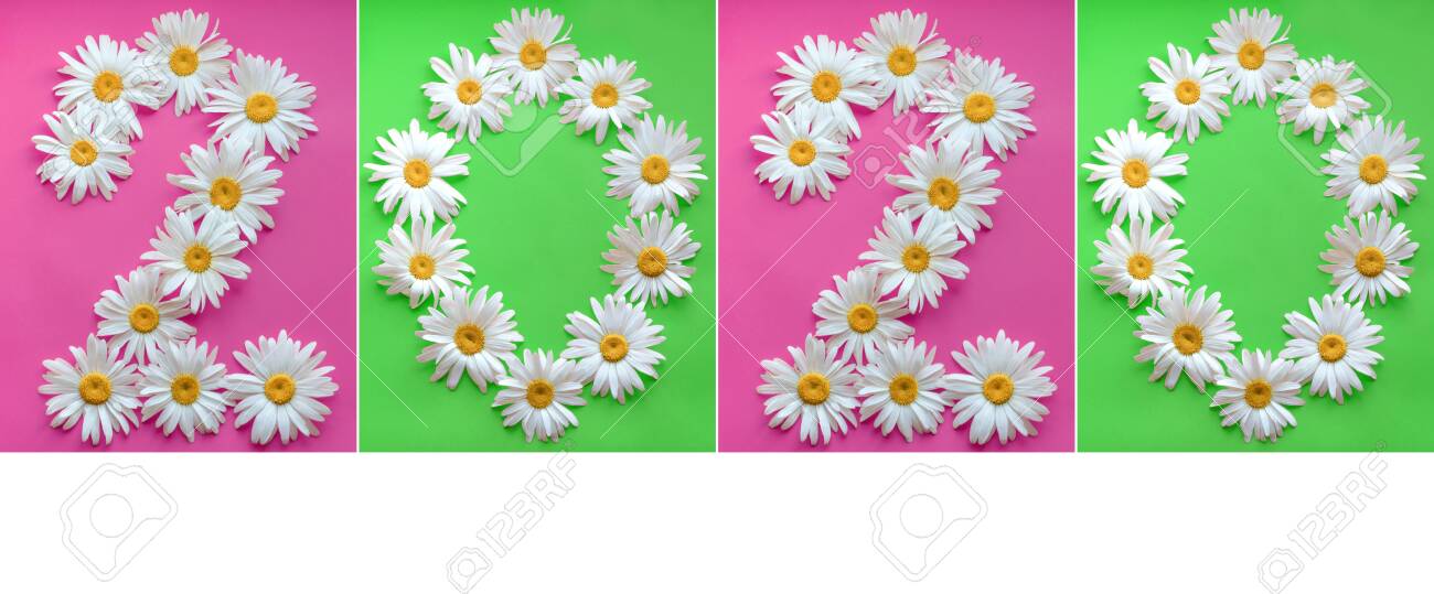Inscription 2020 From Fresh Daisies On A Colored Background Stock Photo Picture And Royalty Free Image Image 127909081 123rf