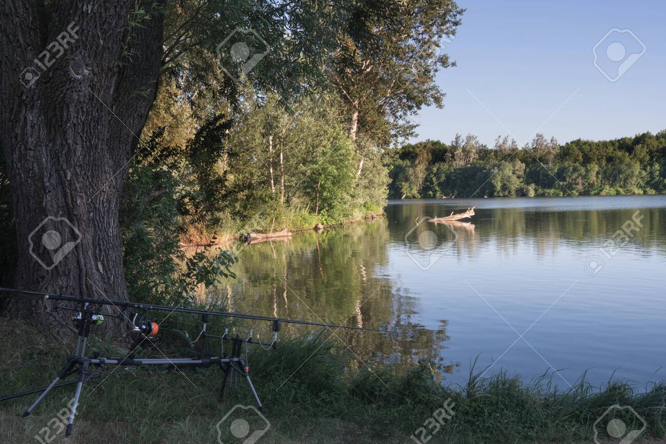 carp fishing rod stands