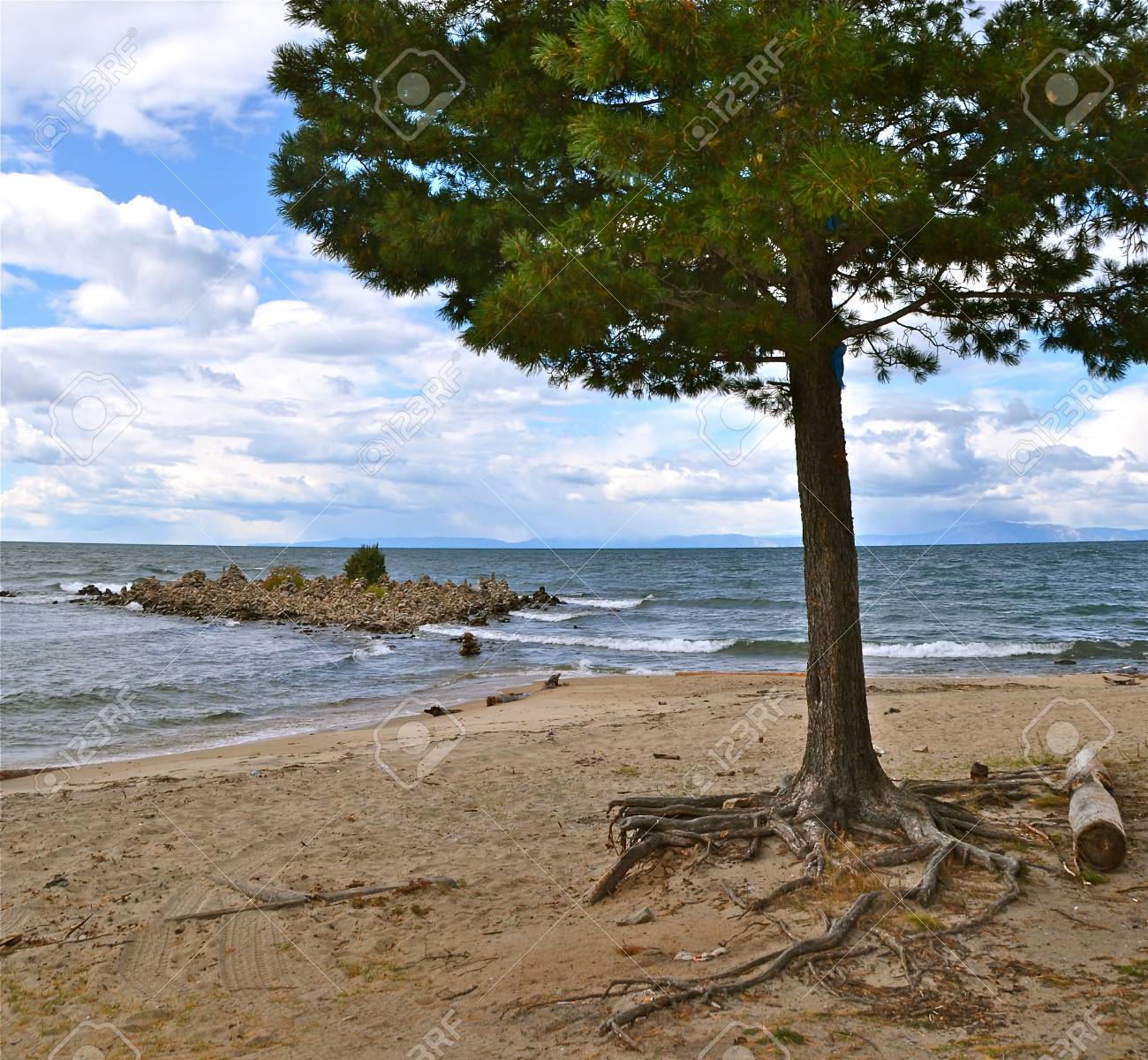 The nature of the island of Olkhon on Baikal The nature of the island of Olkhon on Baikal