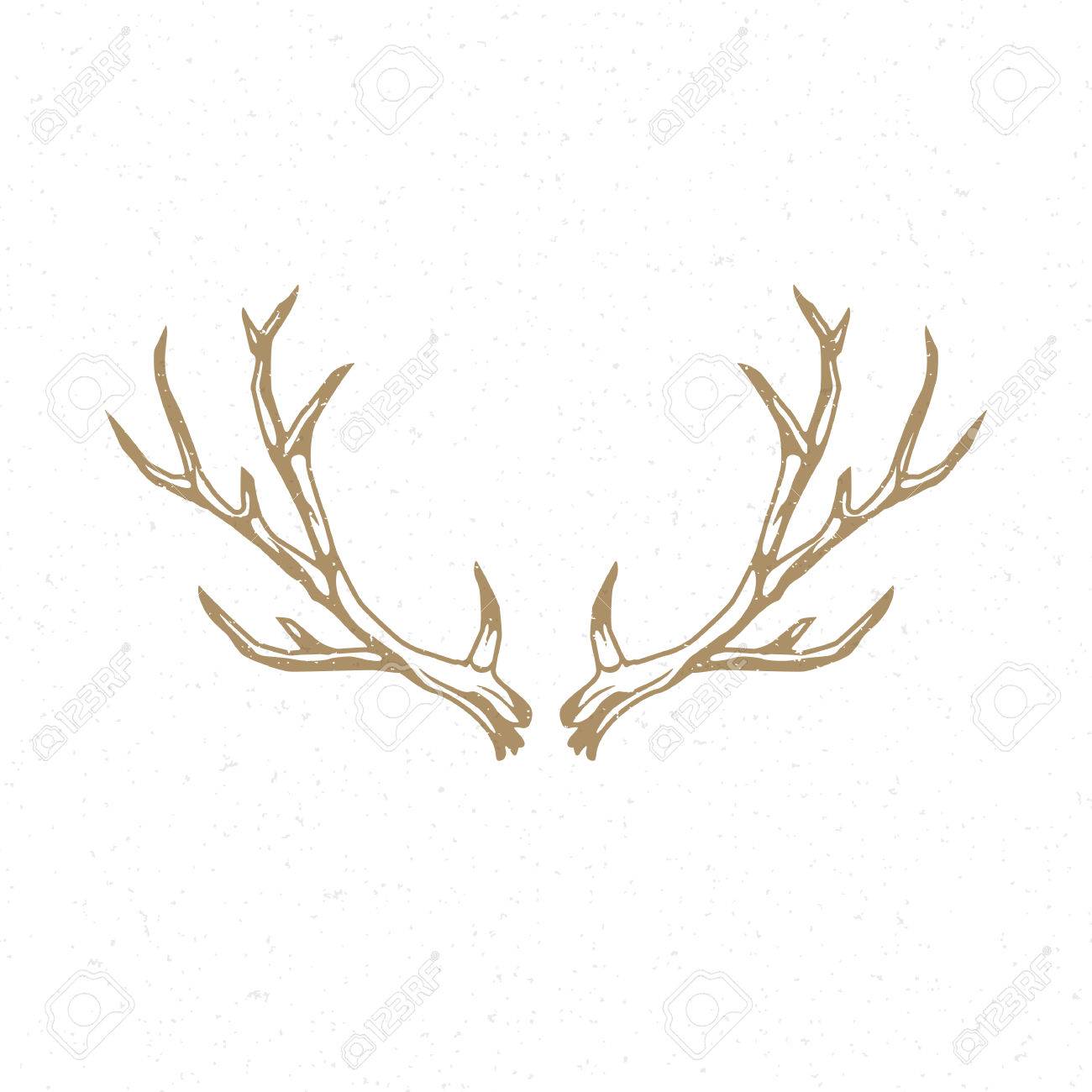 deer horns hand drawn emblem template vector vintage design element